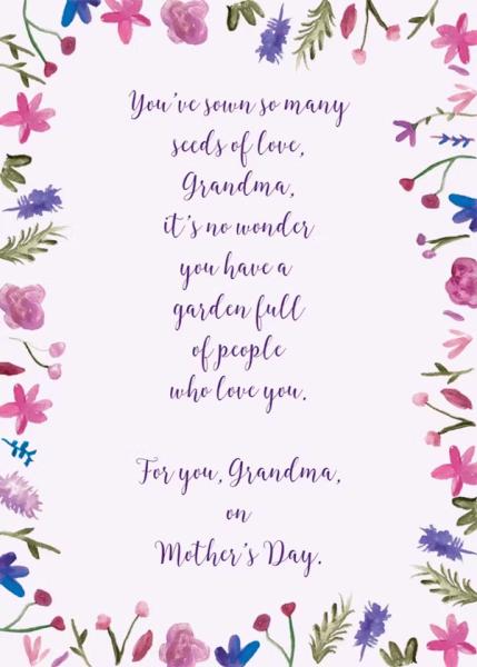 Grandmother-Seeds-of-Love Grandmother-Seeds-of-Love